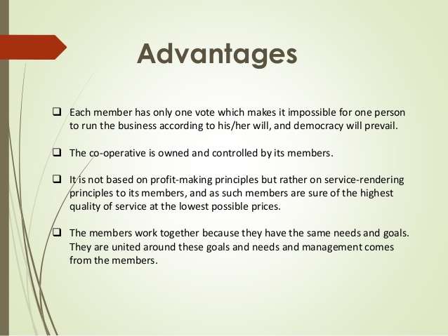 Advantages and disadvantages of profit maximization pdf